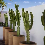 Casa Margarita Soo