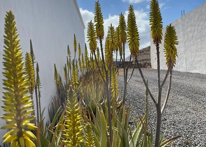 Βίλα Casa Margarita